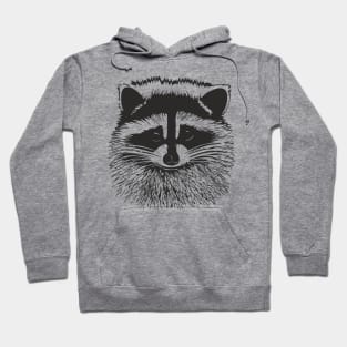 Raccoon Hoodie